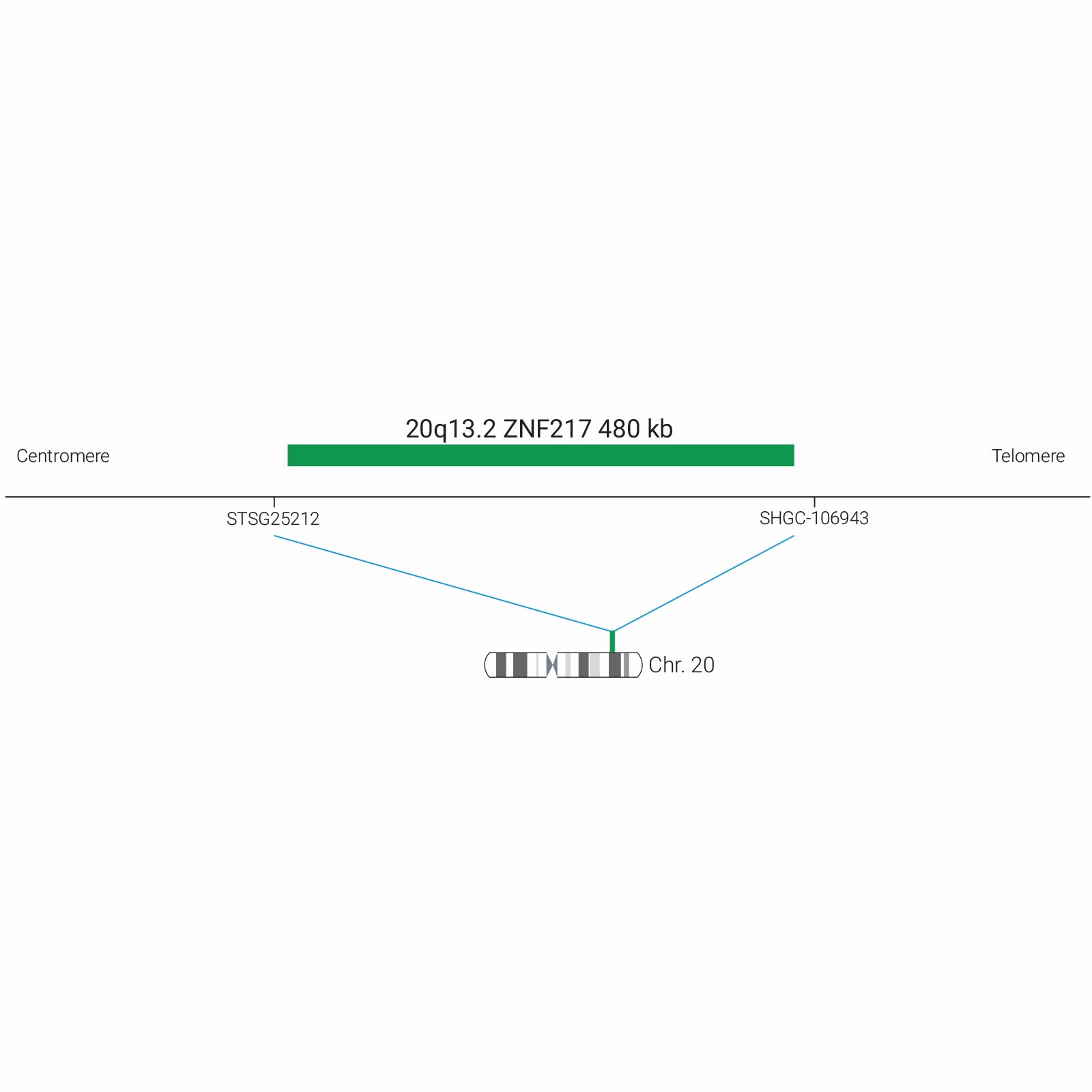 G110440G | Agilent