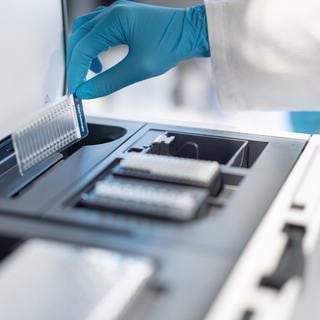 High Sensitivity Genomic DNA ScreenTape Analysis