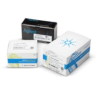 Seahorse XF Palmitate Oxidation Stress Test Kit 및 FAO 기질