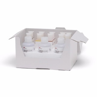 EnVision FLEX Mini Kit, High pH (Dako Omnis)