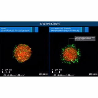 RTCA eSight Software