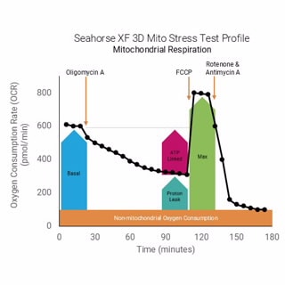 Seahorse XF Mito Stress Test Kits