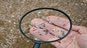 Example category image description