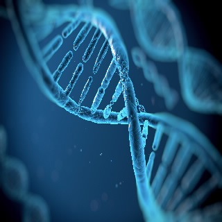 ClinGuide CRISPR sgRNAs for human therapeutics