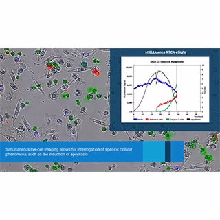 RTCA eSight Software