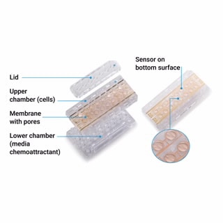 xCELLigence RTCA DP - Cell Invasion & Migration