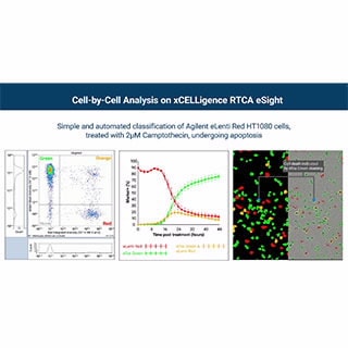 RTCA eSight Software