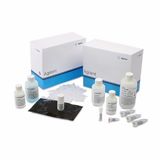 Ultra Sensitivity RNA Kit