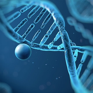 用于表观遗传学研究的社区设计