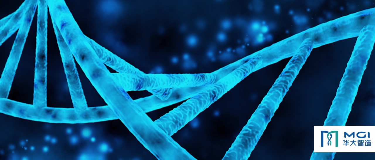 Next Generation Sequencing