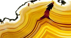 Example category image description