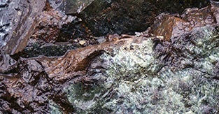 Example category image description