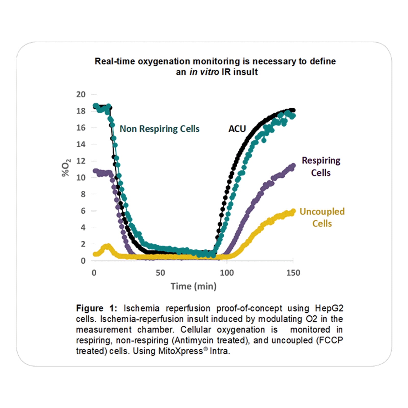 MitoXpress Intra Intracellular Oxygen Assay