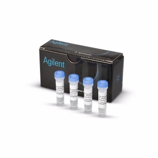 MitoXpress Intra Intracellular Oxygen Assay