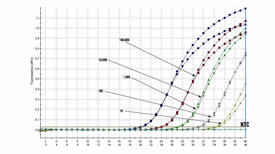 qpcr assay kits detect mycoplasma infection mycosensor qpcr agilent