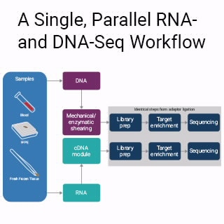 SureSelect XT HS2 DNA 试剂盒
