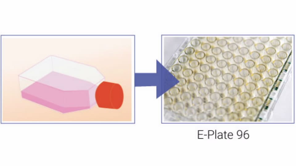 Cancer Research Real Time Cell Analysis Agilent
