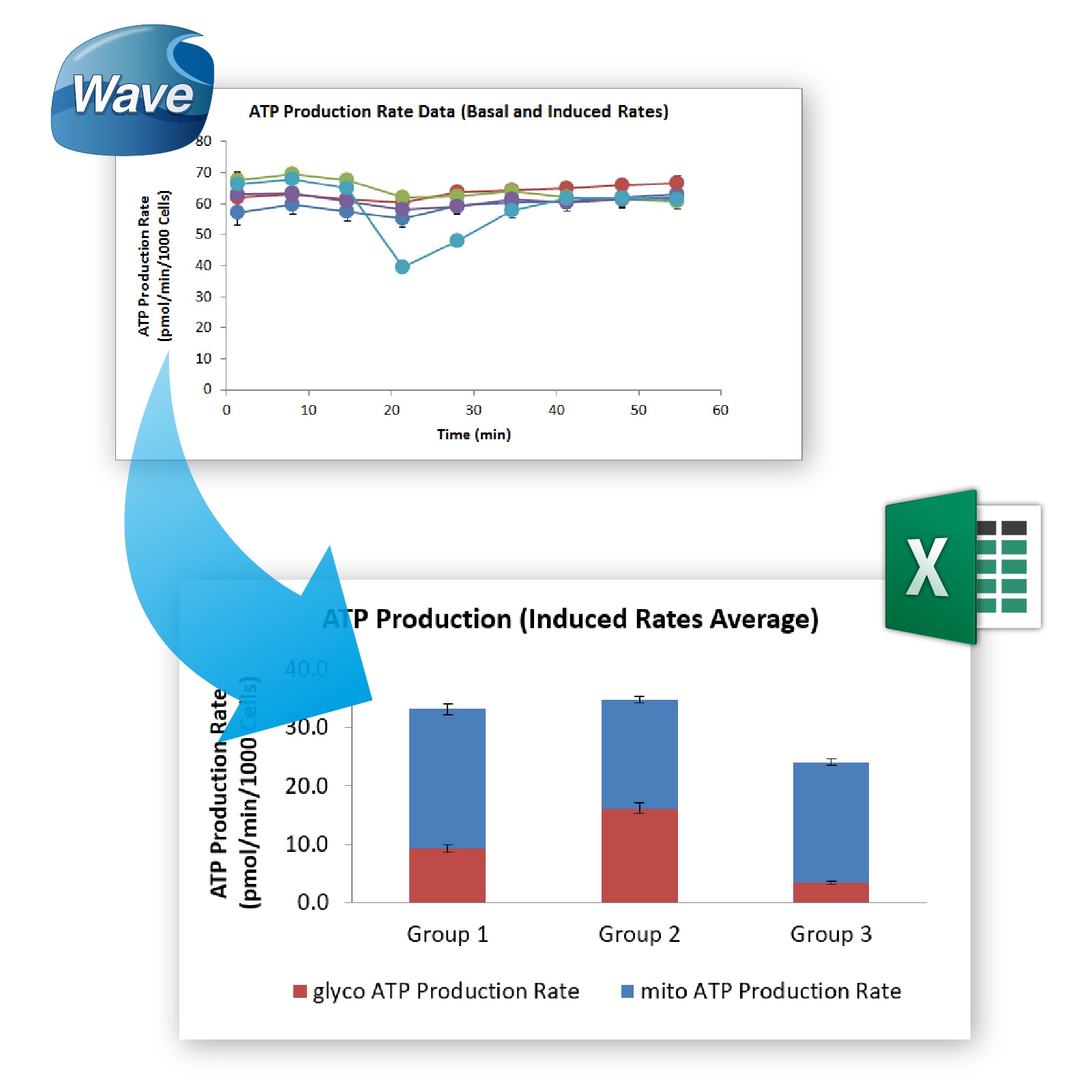 Seahorse real-time ATP production rate data analysis Agilent
