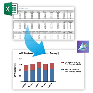 Seahorse XF Real-Time ATP Rate Assay Report Generators