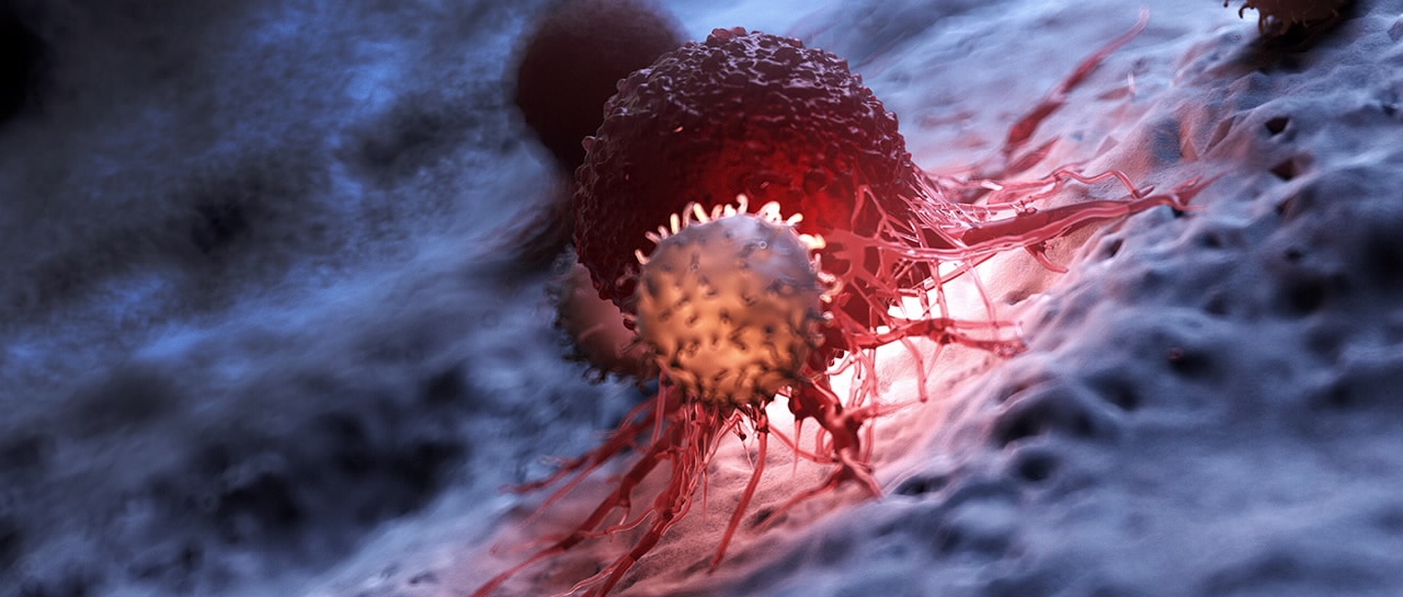 CAR-TCR T Cell Killing – Real Time Cell Analysis | Agilent