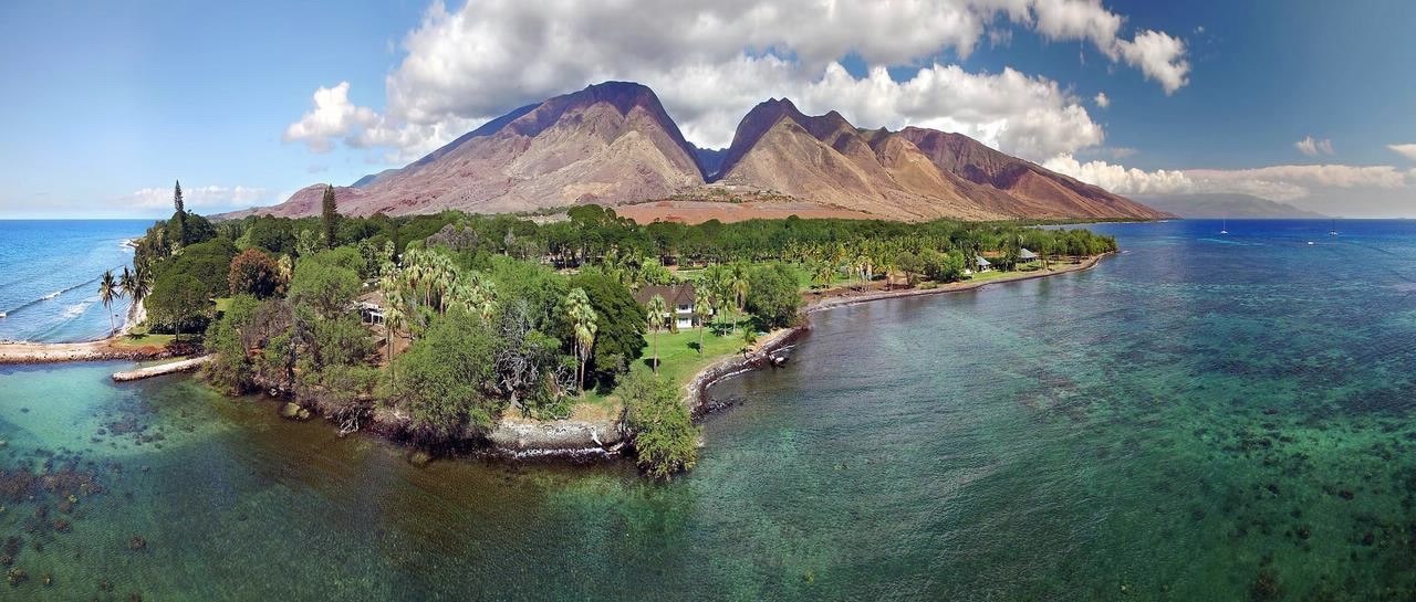 Analytical Reference Materials & Standards