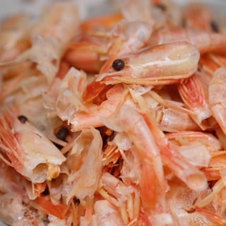 NOVEMA Max Columns NOVEMA Max Columns