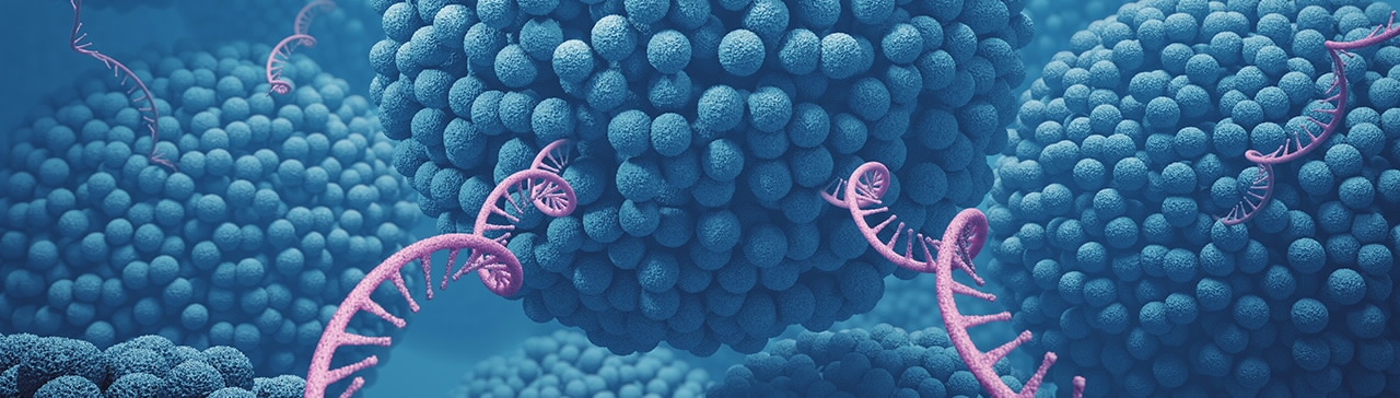 Example category image description