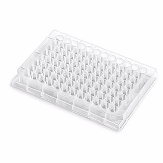 96 and 384 Well Plates and Sealing Mats