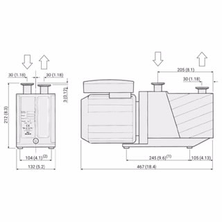 DS 302 Rotary Vane Pump