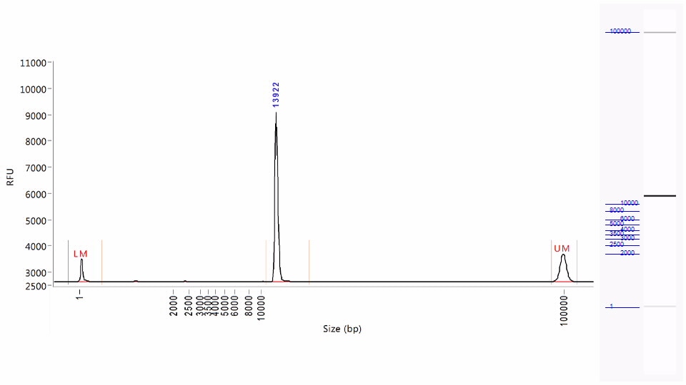 plasmid dna kit agilent