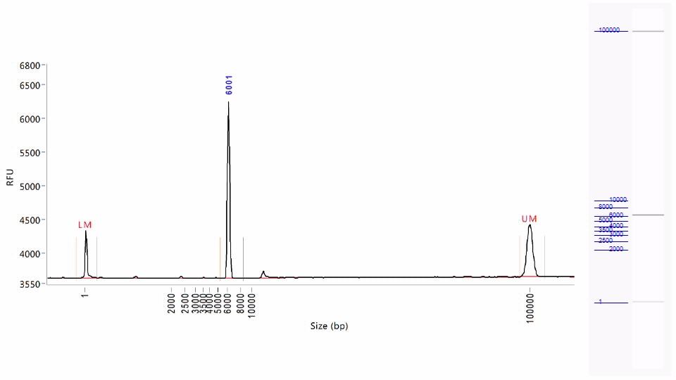 plasmid dna kit agilent