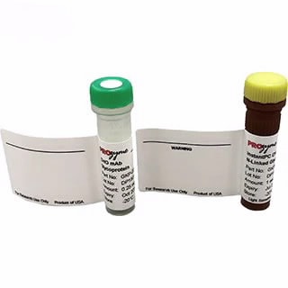 Glycan Standards and Libraries For N-Glycan Analysis Glycan Standards and Libraries For N-Glycan Analysis