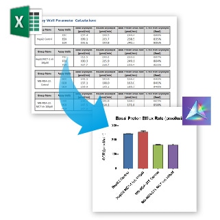 Seahorse XF Glycolytic Rate Assay Report Generators