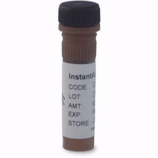 InstantAB Labeled Glycans InstantAB Labeled Glycans