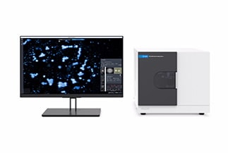 Example category image description