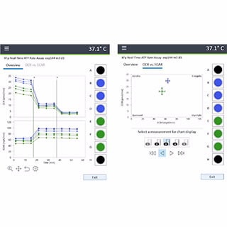 Seahorse XF HS Mini Analyzer