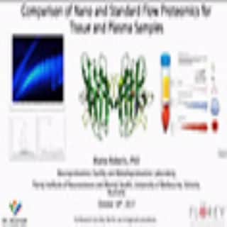Example category image description
