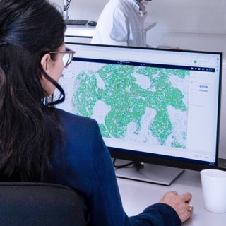 Visiopharm Translational Packages RUO