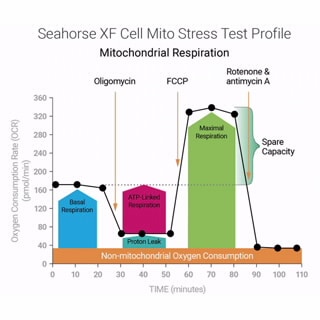 Seahorse XF Mito Stress Test Kits