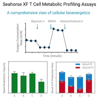 Seahorse XF T 细胞代谢分析试剂盒
