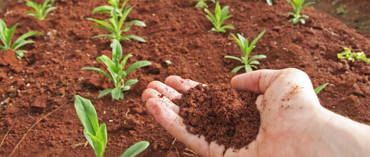 土壤、污泥和沉积物