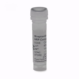 Example category image description