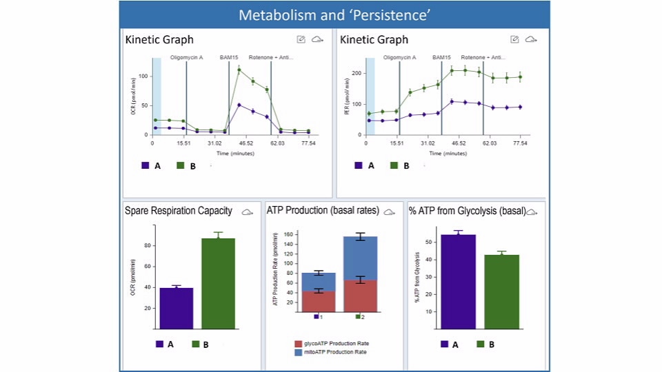 Seahorse XF T Cell Metabolic Profiling Kit