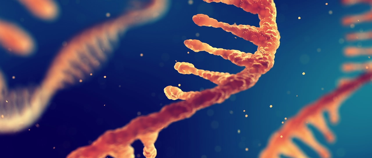 Molecular Spectroscopy Agilent