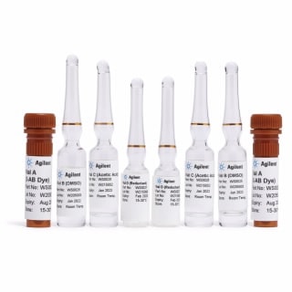 Traditional Glycan Preparation