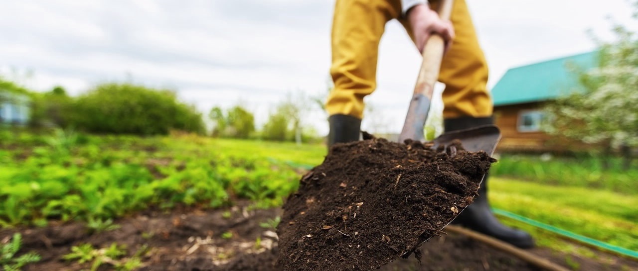 土壤、污泥和沉积物