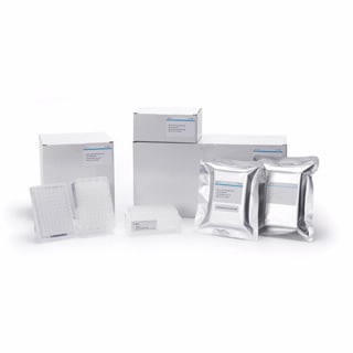 ValueLab Well Plates and Filter Plates