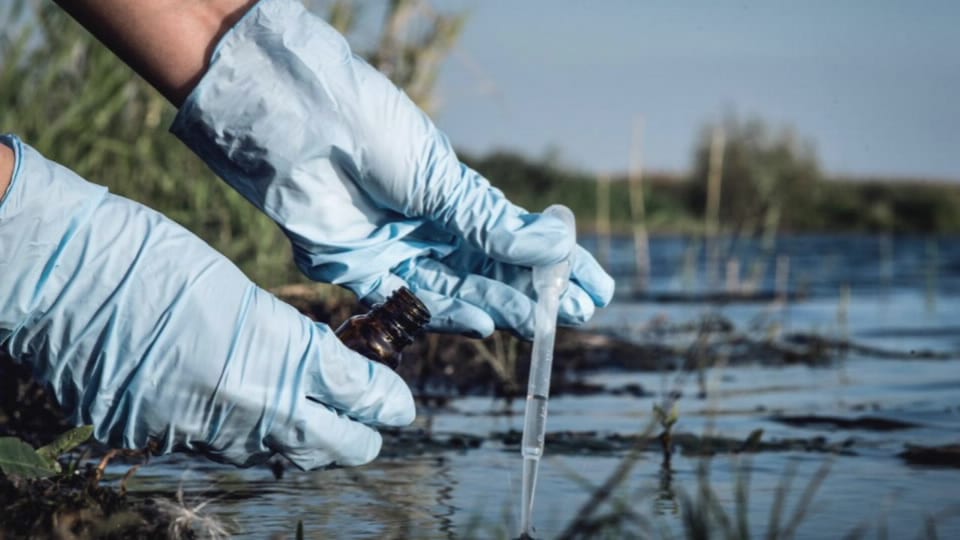 At 624 Gc Column Equivalent Buy Price www.yakimankagbu.ru