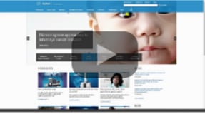 Example category image description