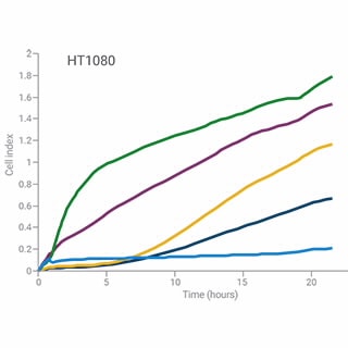 xCELLigence RTCA DP - Cell Invasion & Migration